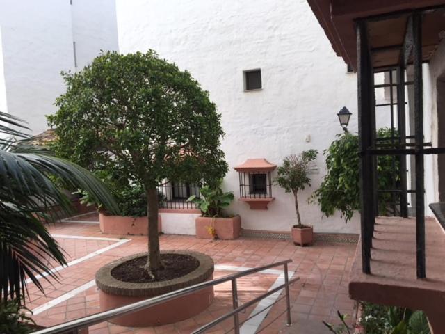 Large And Elegant In Puerto Banus With Pools And Paddle Leilighet Marbella Eksteriør bilde